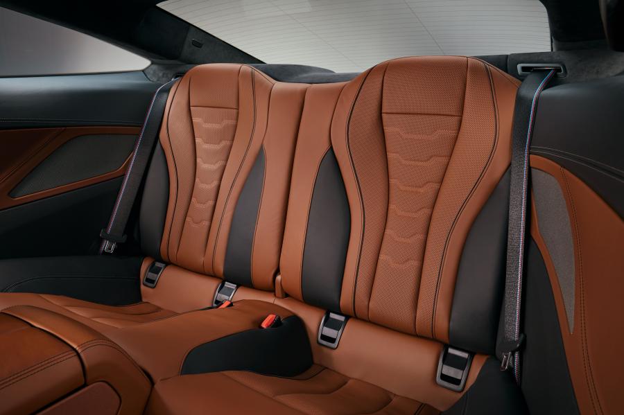 Интерьер BMW M850i xDrive (G15) 2018 года  (WW) (фото 70 из 88)